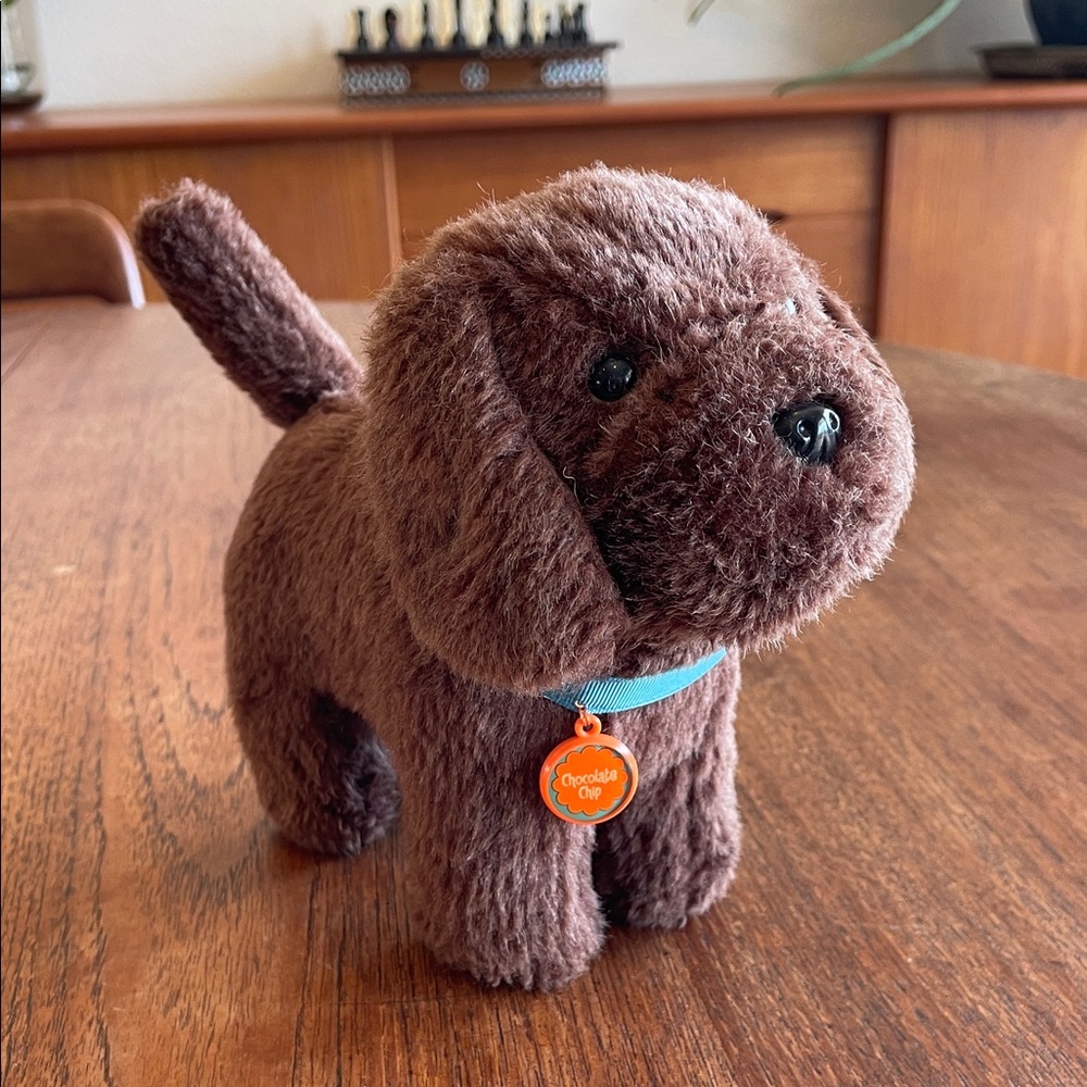 American Girl Dog - Chocolate Chip!